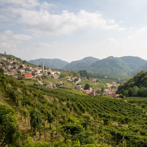 Garbara Valdobbiadene Prosecco Superiore Extra Brut - ISN: Italian Speciality for the Netherlands