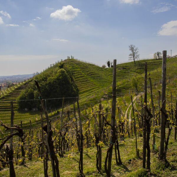 Garbara Valdobbiadene Prosecco Superiore Extra Brut - ISN: Italian Speciality for the Netherlands